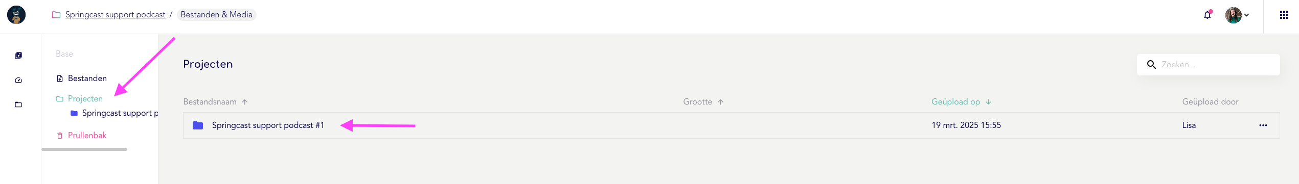 Project openen.png