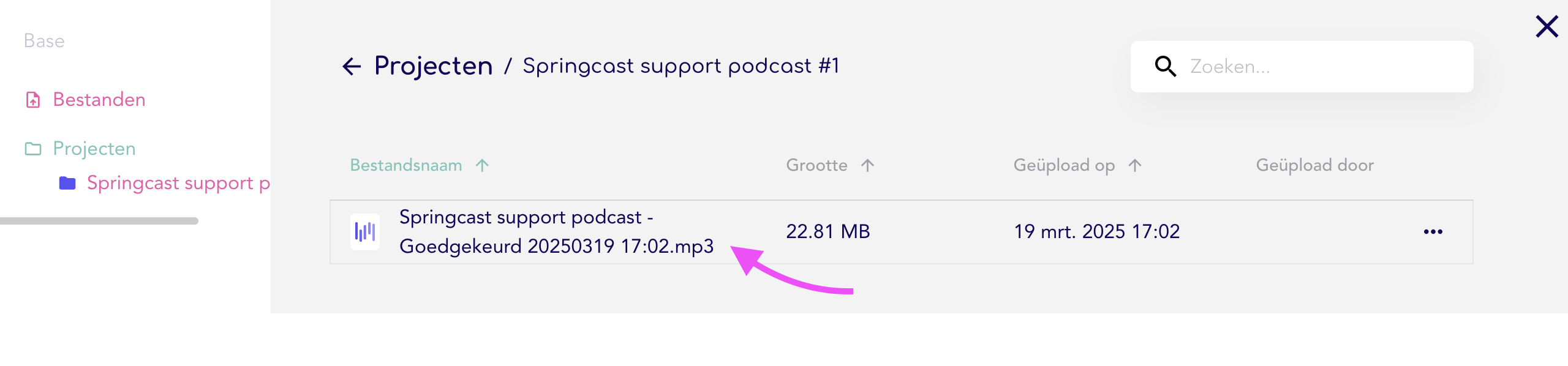 Bestand uploaden uit bestandsbeheer.png