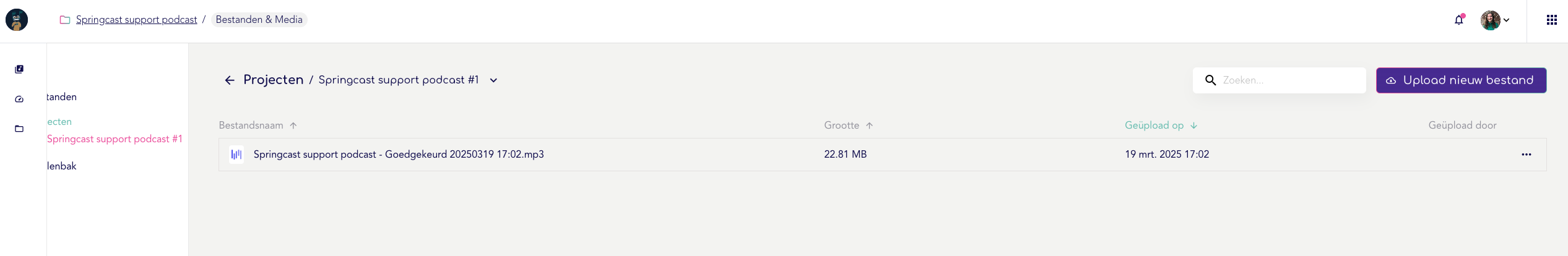 Goedgekeurde audiofile.png